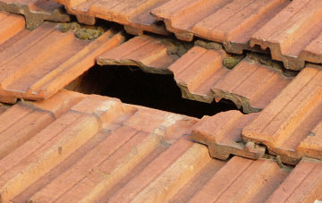 roof repair Shepperdine, Gloucestershire